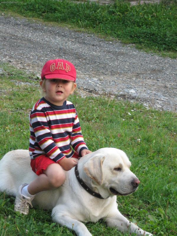 Foto: Ron a Mates-ZLAT��KA