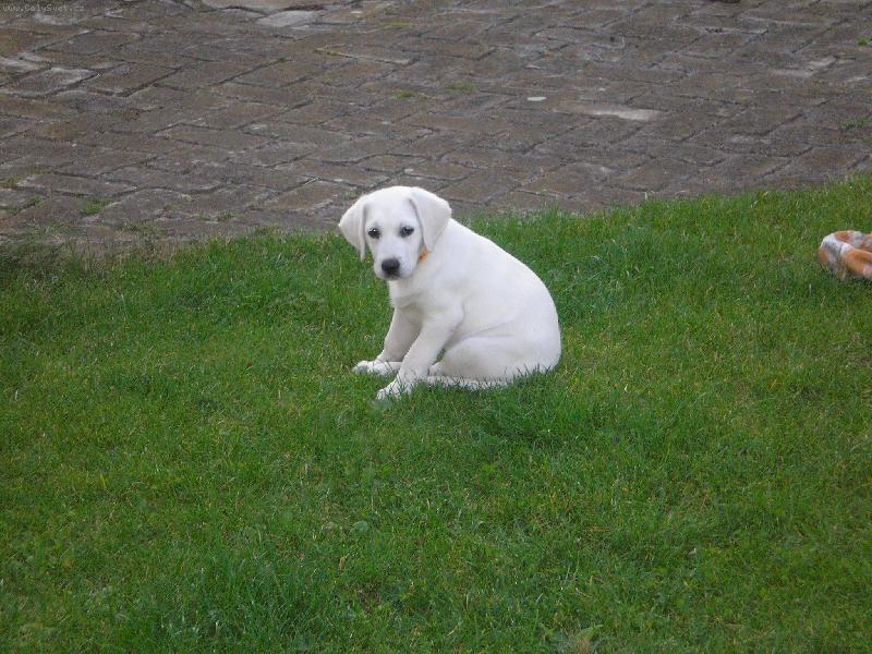 Foto: Kam te� sko��m