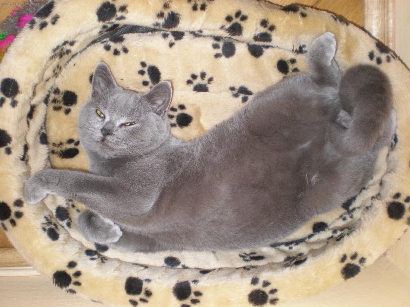 Foto: Odpo�inek-Deni (5 m�s�c�)