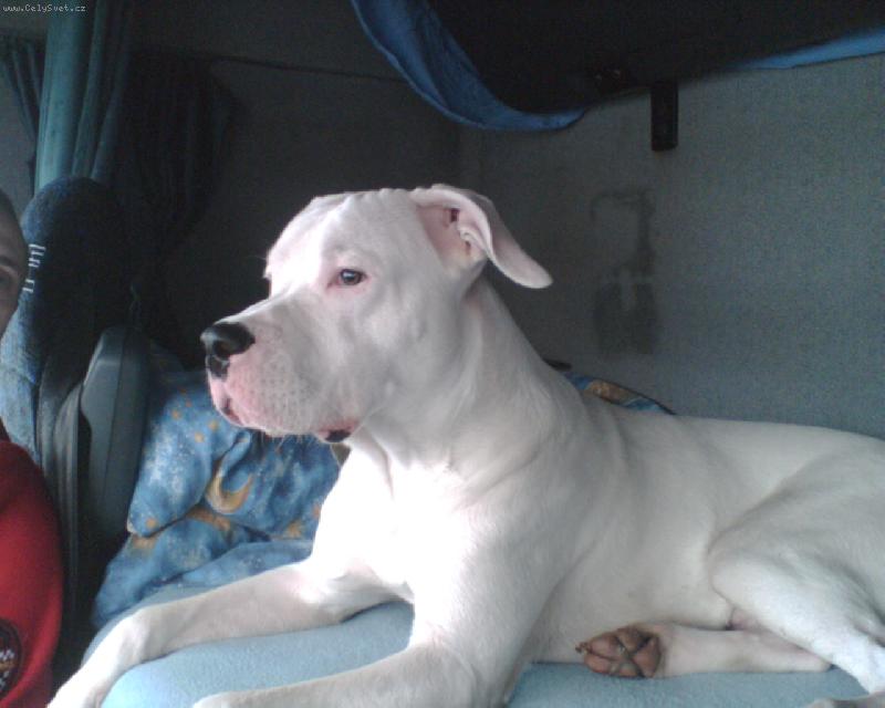 Foto: ROCKYSEK V KAMIONU