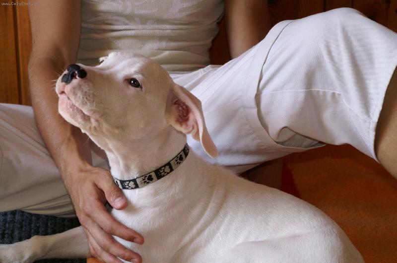 Foto:  malej   hl�dac