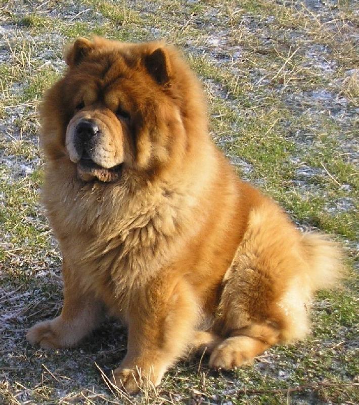 Foto: Hl�d�m a hl�d�m...