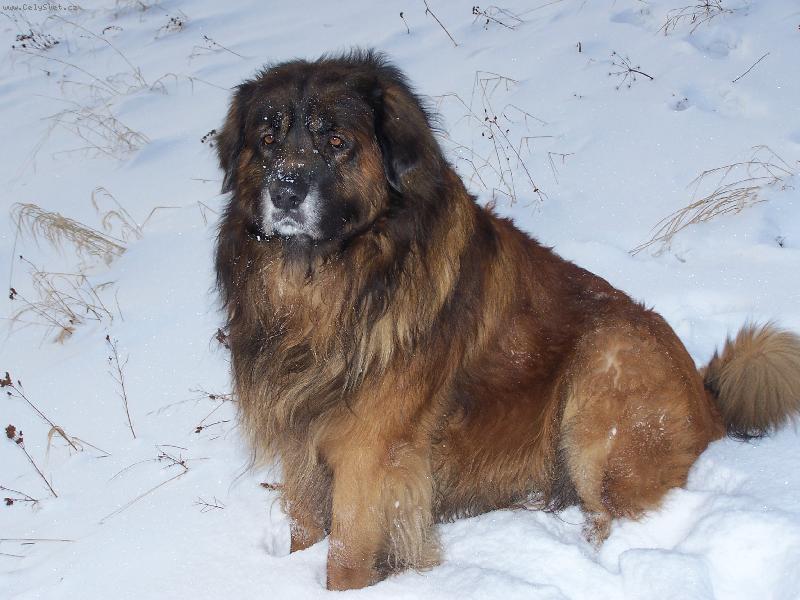 Foto: milacek a zlaticko Akim