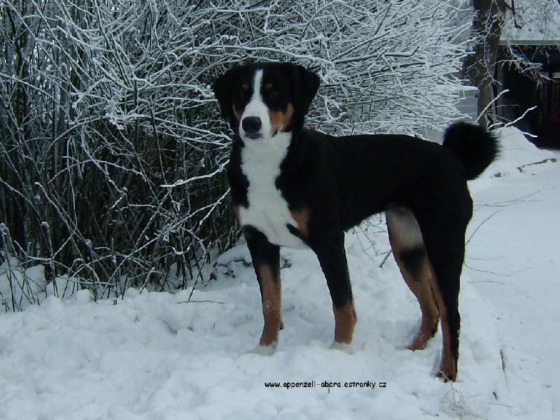 Foto: Abora z Velk�ho �jezda-21 m�s�c�