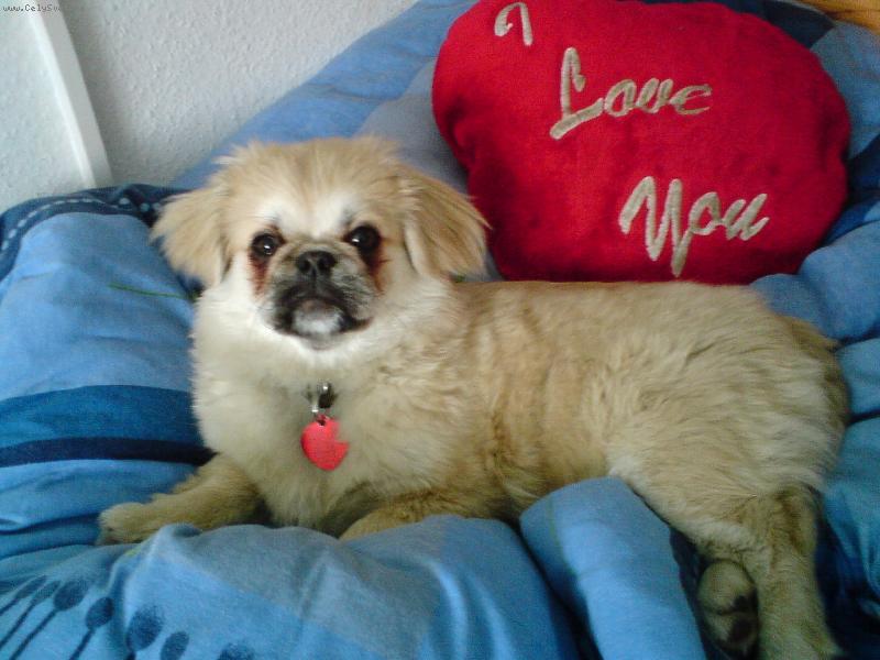 Foto: Moja l�so�ka �a�ko