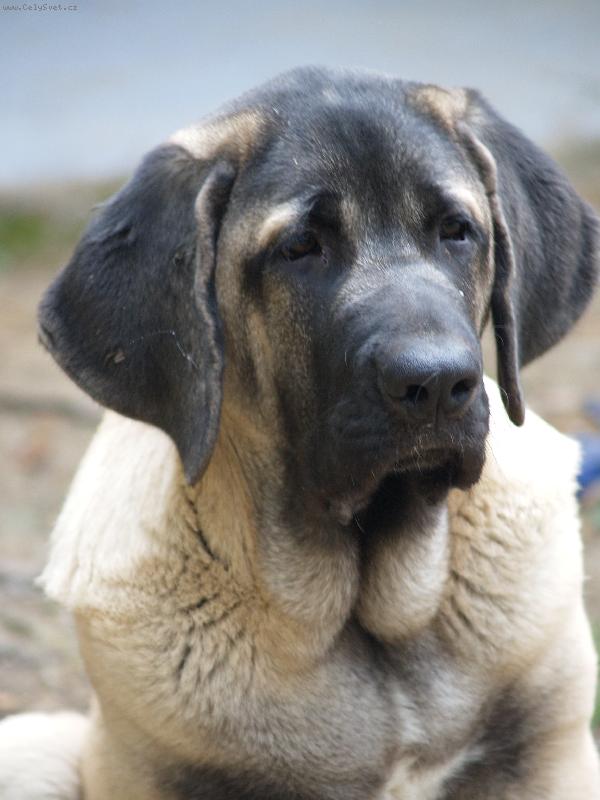 Foto:  �t�n�  7  m�s�c�