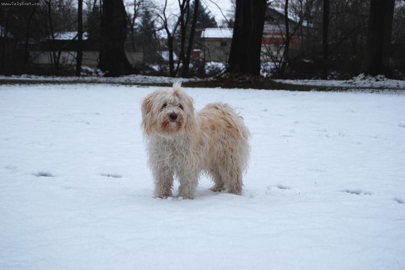 Foto: Byema Kipu Khyim