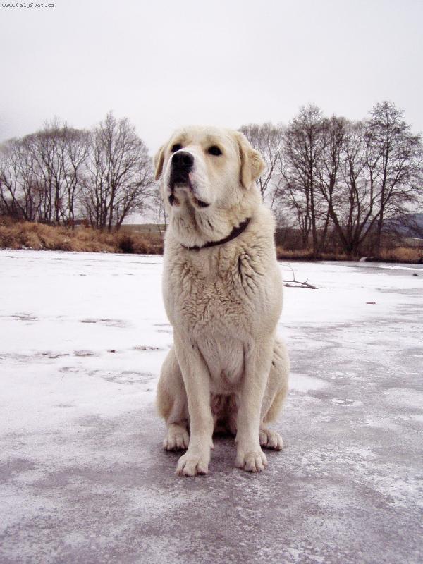 Foto: Sheila-10 m�s�c�