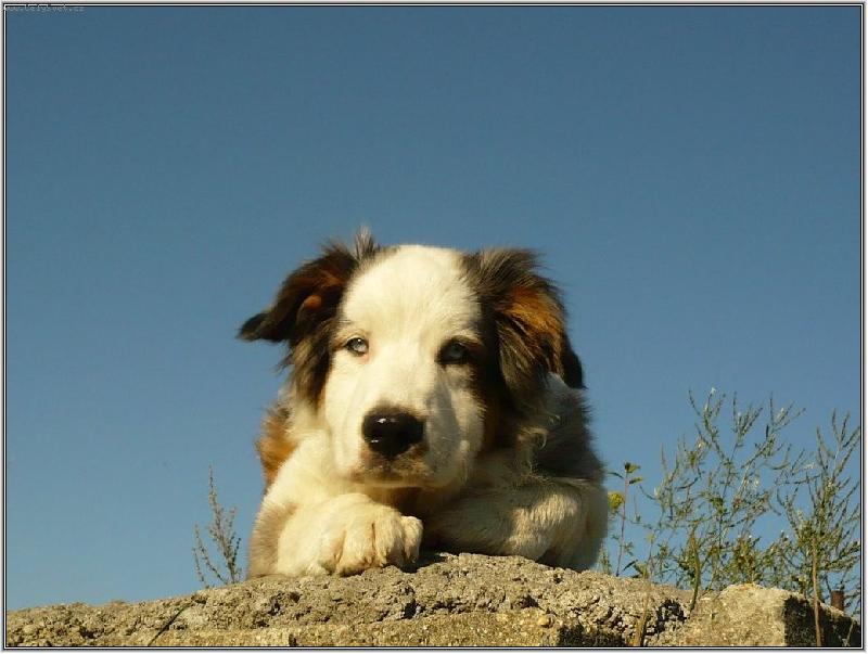 Foto: nejrad�i bych t� ol�zal