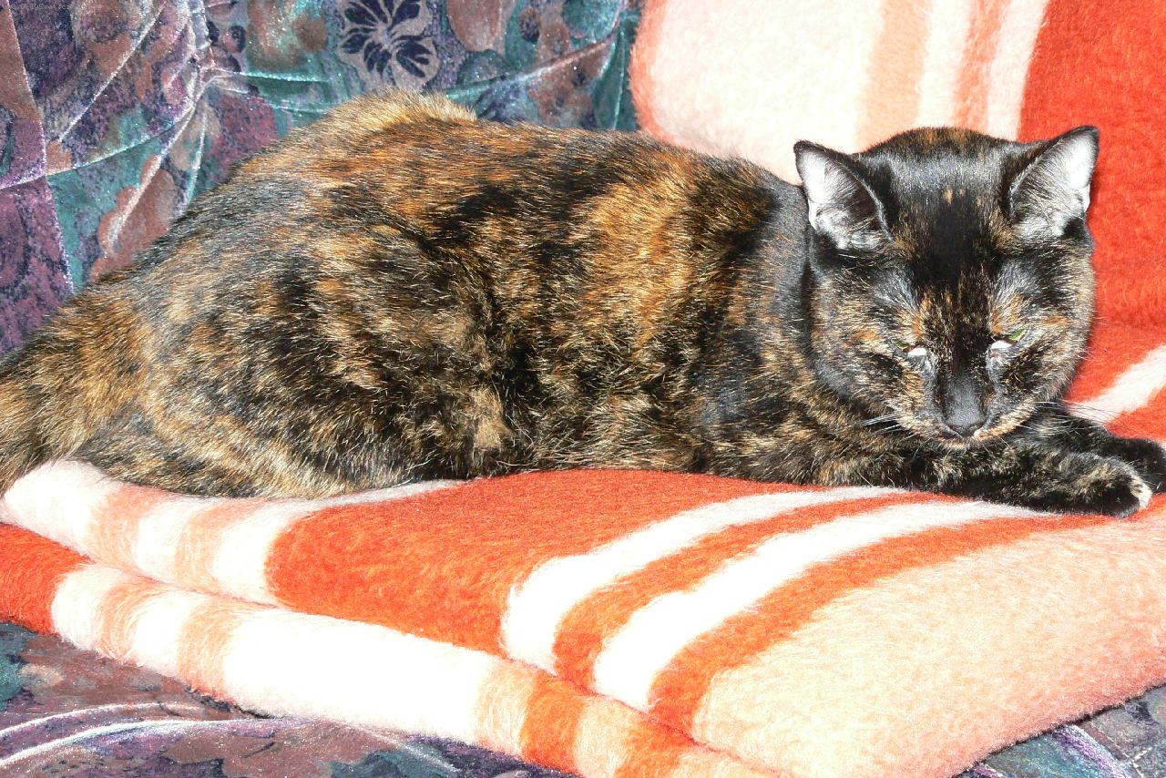 Foto: Moje ���a S�ra-spink�m:)