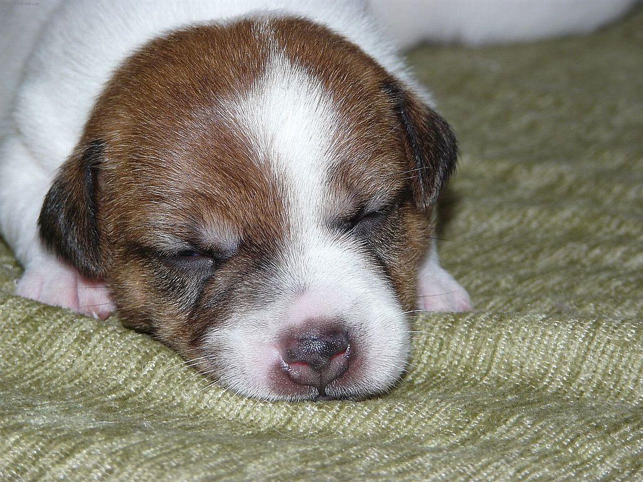 Foto: Calvin Klein-�t���tko od Andulky