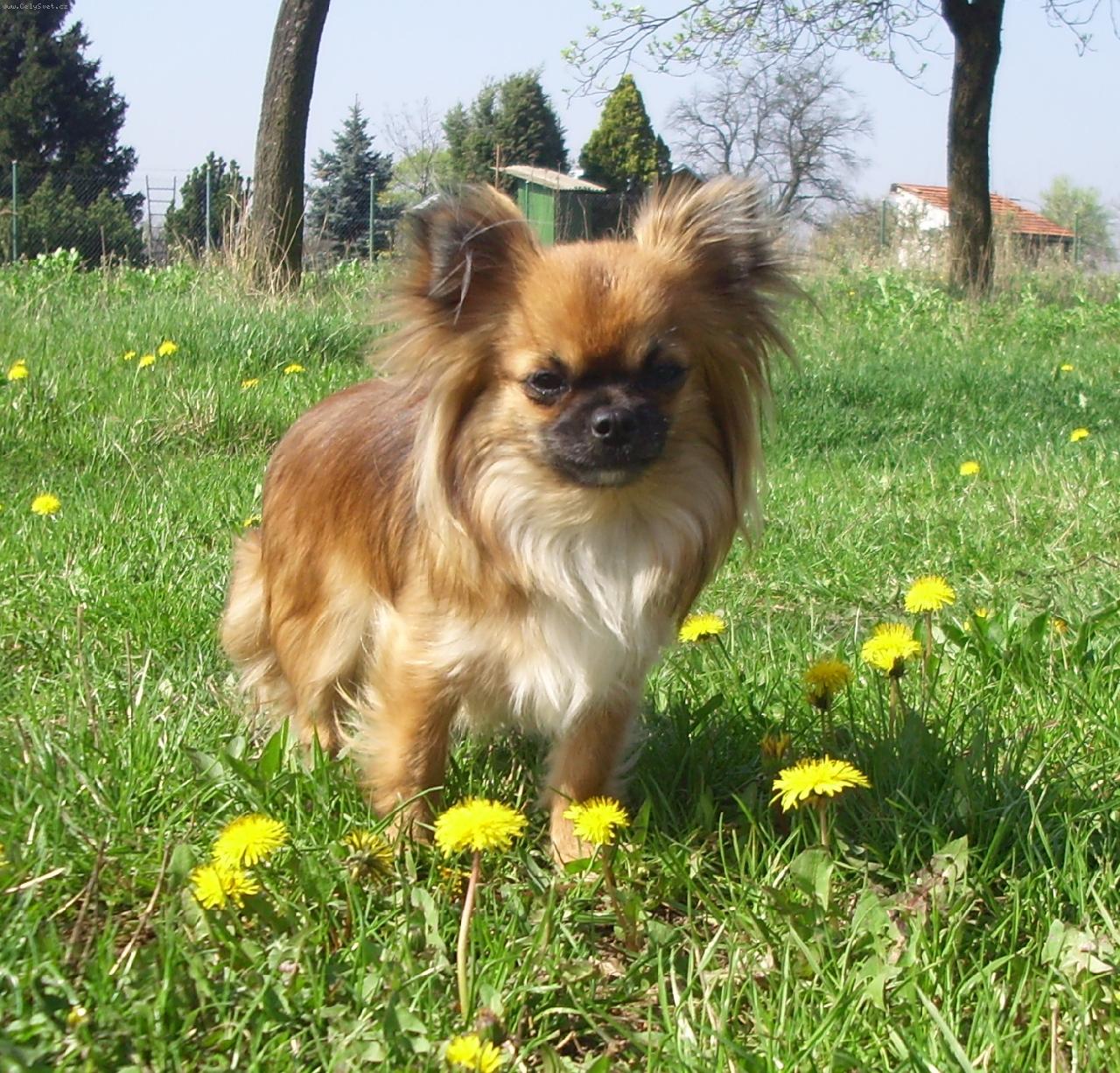 Foto: Sally Jarvin-box