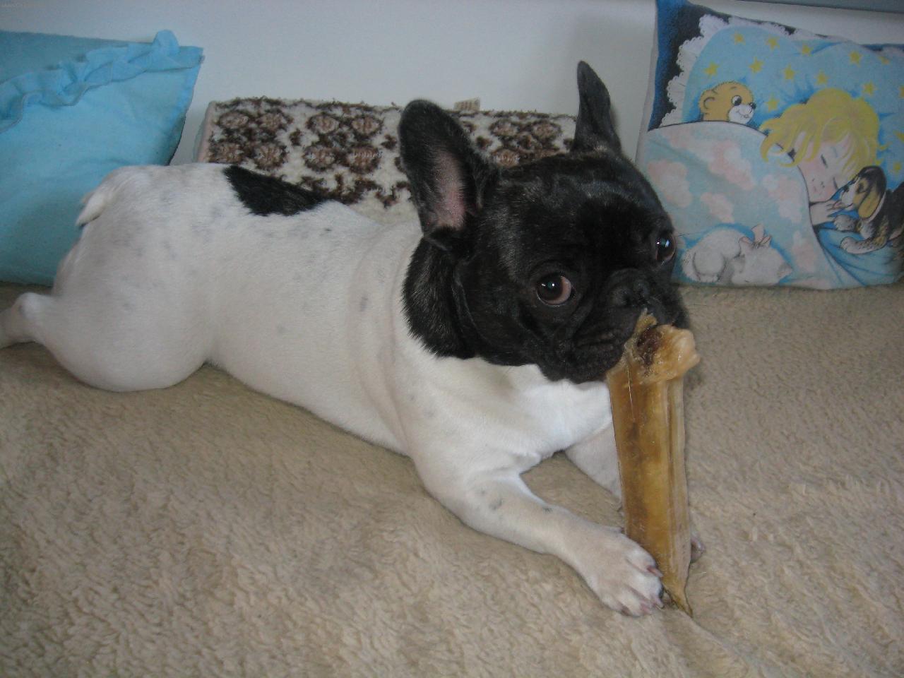 Foto: Andulka z D��iny u Plzn�