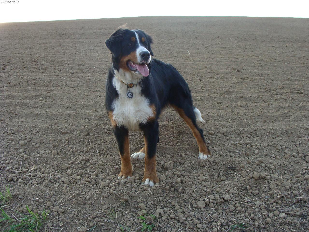 Foto: 7,5 m�s�ce