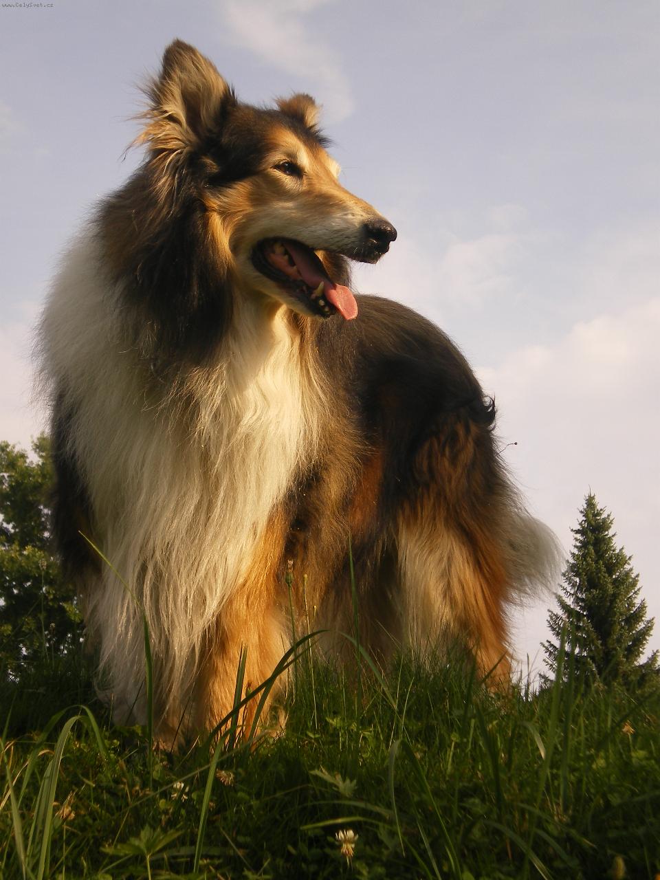 Foto: Gigi Kr�sa samoty