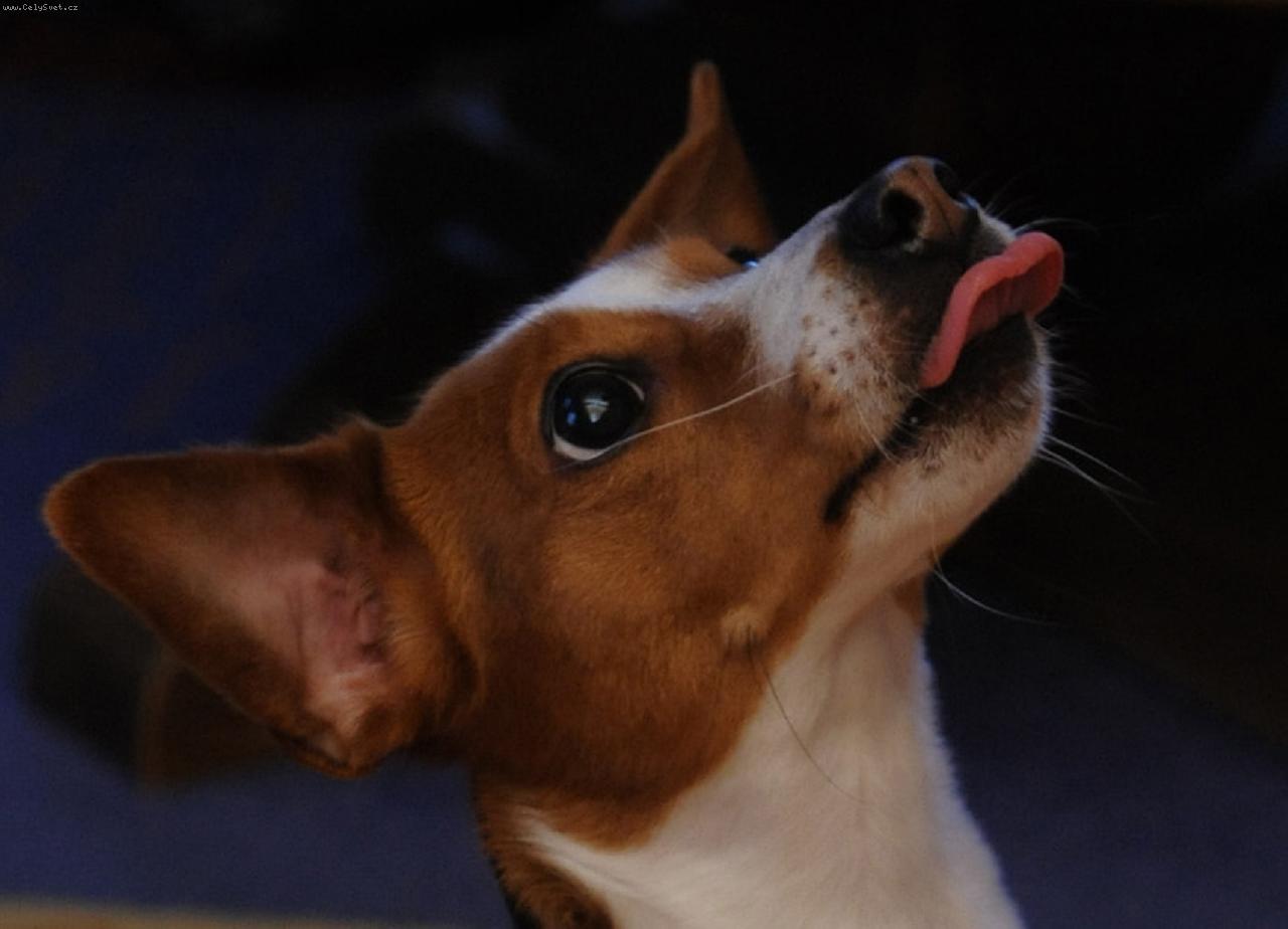 Foto: Mlsn� Ka�enka