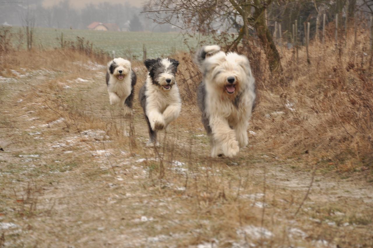 Foto: Na proch�zce