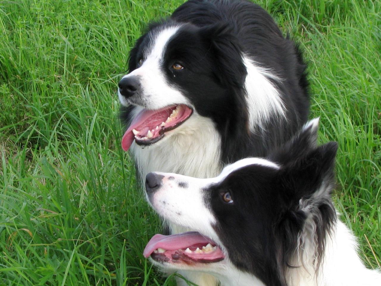 Foto: Cliff a Paul Tender Flash