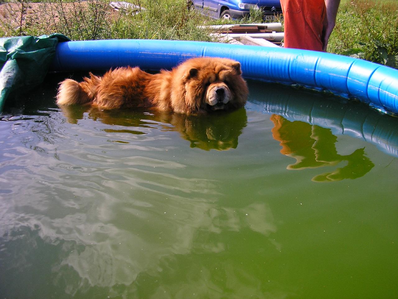 Foto: letn� cacht�n�