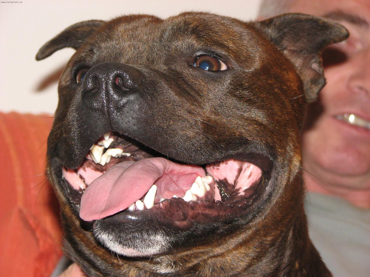 Foto: �sm�v-�sm�v