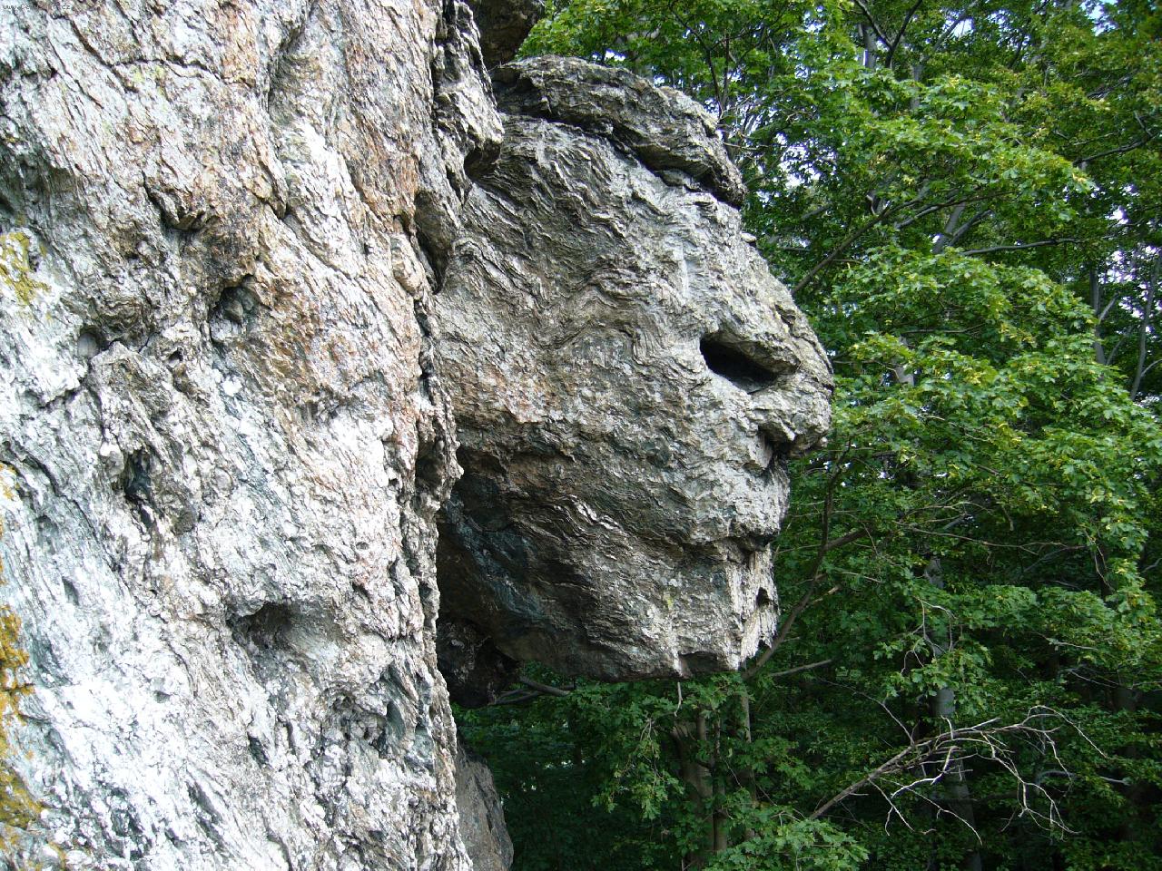 Foto: Zkamen�l� obluda