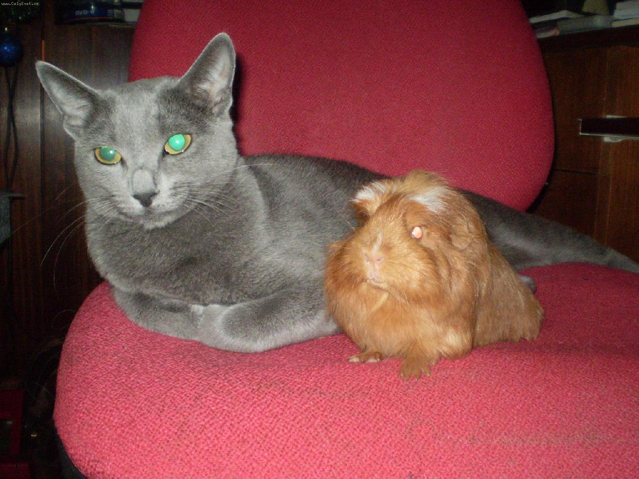 Foto: k�mar�dky-Leont�nka  a Iriska