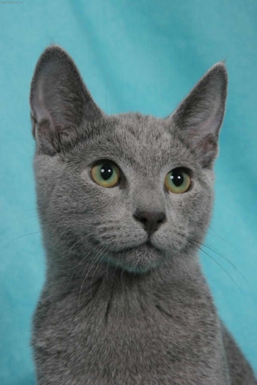 Foto: Hammer Kaptown