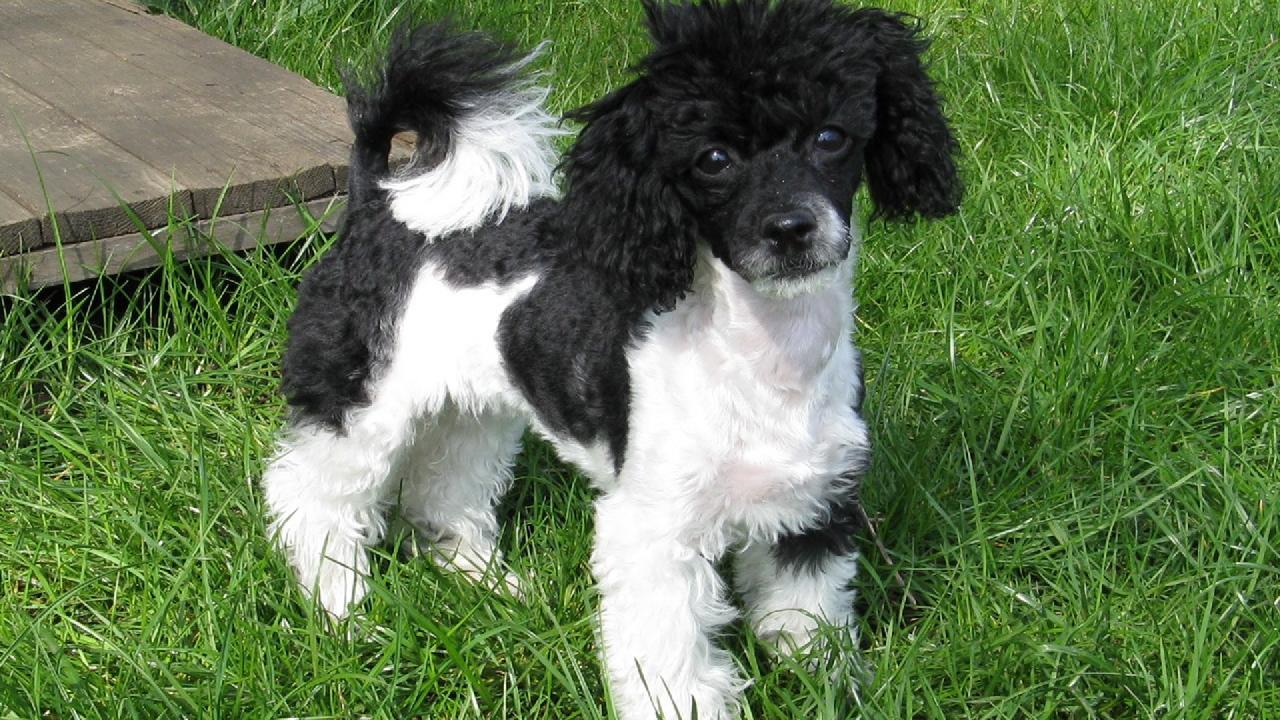 Foto: Lukyna na Zahrad�