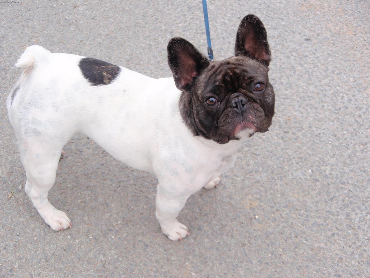 Foto: Andulka z D��iny-Jdeme se proj�t