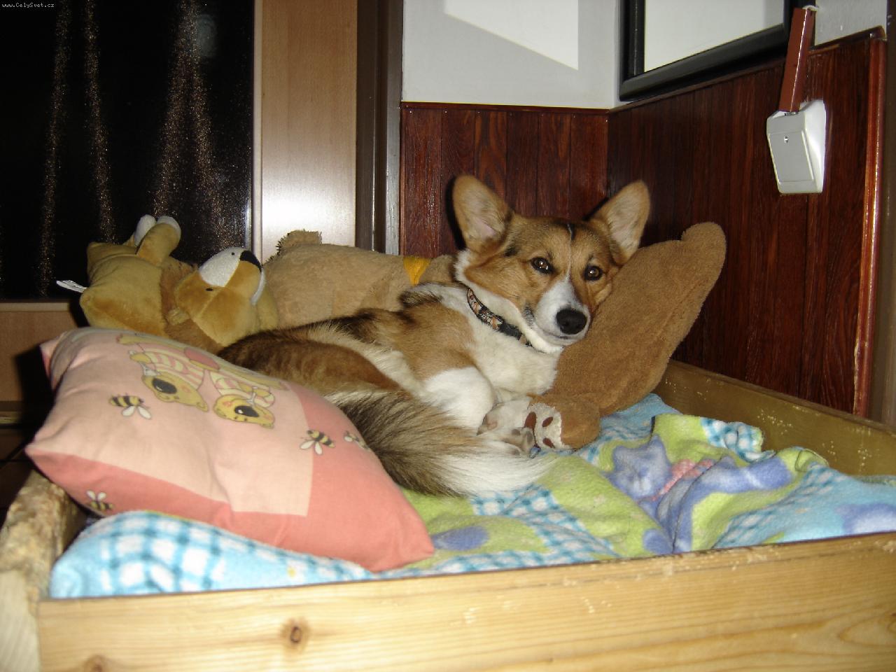 Foto: zasp�vanie s �smevom-Sa�a