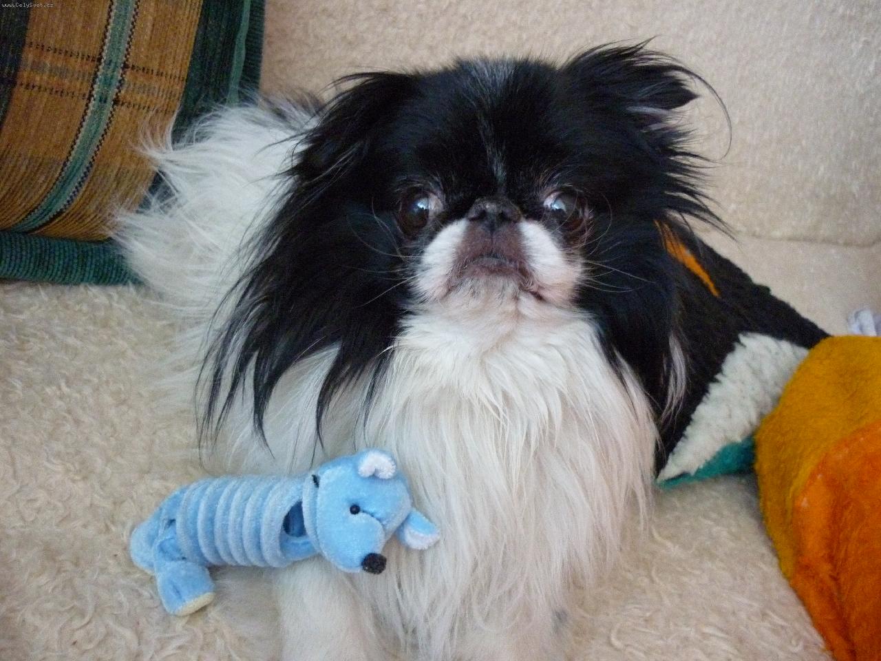 Foto: Renda-s novou hra�kou