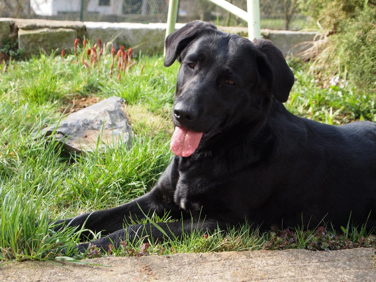 Foto: Meggie nar.10.6.2009-...