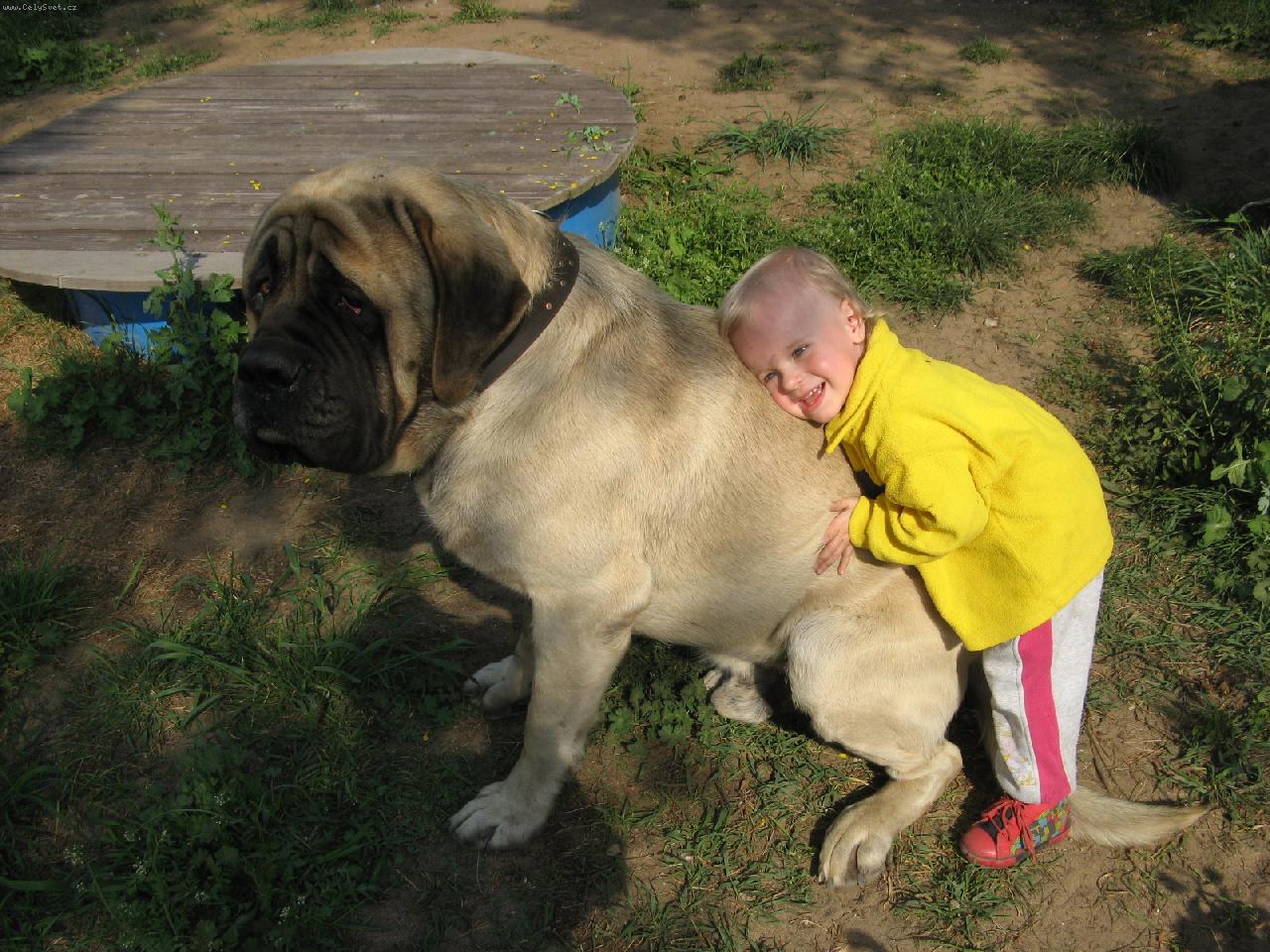 Foto: m�m t� t����khle r�d-Bracou� a Tom�ek