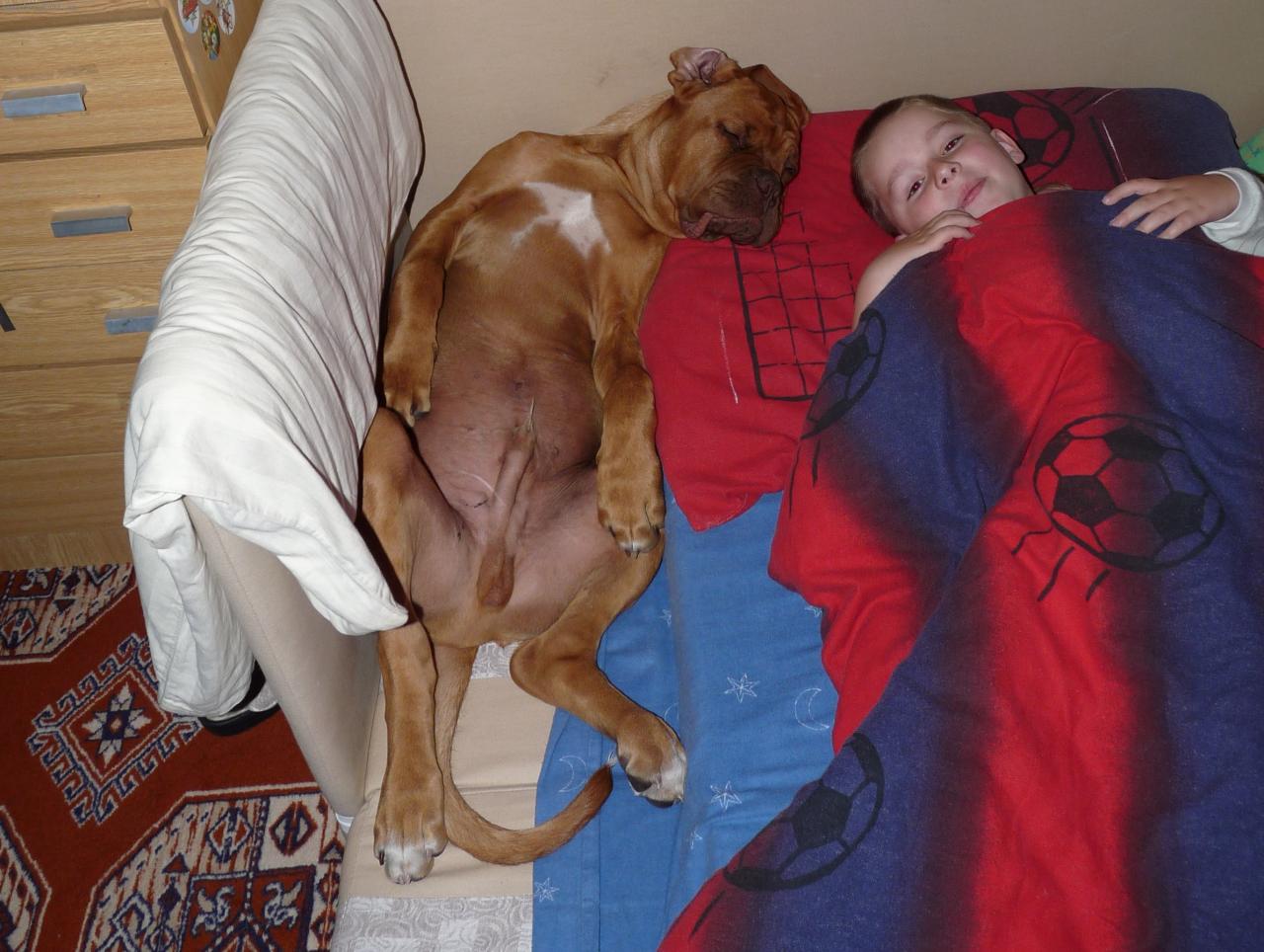 Foto: Jako br�kov�