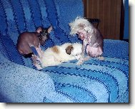 Holky jak si hraj�