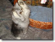 My�ky - to je moje