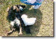 na�e dv� holky