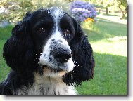 daj mi u� ten �pek