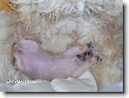 spink�