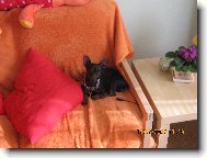 Matou�ek