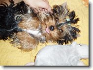 chanelka 5m�s�c�