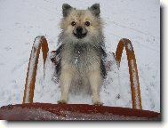 Na star�m k�esle