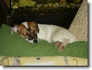 Spike je�t� mal�