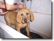 Baldey ze �pi��ku ve van�