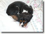 Moje obl�ben� m�sto