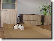 Hled�m kamar�dy/ky