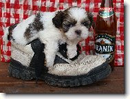 Bert�k m� ��ze�