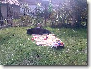 Grame�ek a Ad�lka