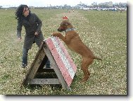 C�Chulo Magdahor , neboli �ulda, �ul�nek