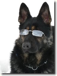 Slne�n� l��e s� nebezpe�n�!